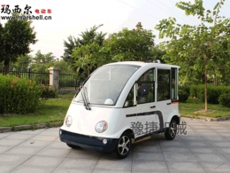 電動(dòng)巡邏車DN-4A-3